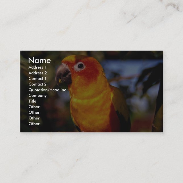 Sun conure business card (Front)