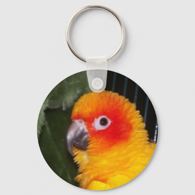 Sun Conure Key Ring (Front)
