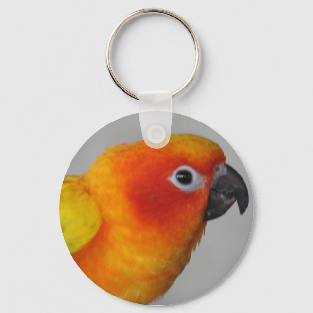 Sun Conure Keychain (Front)