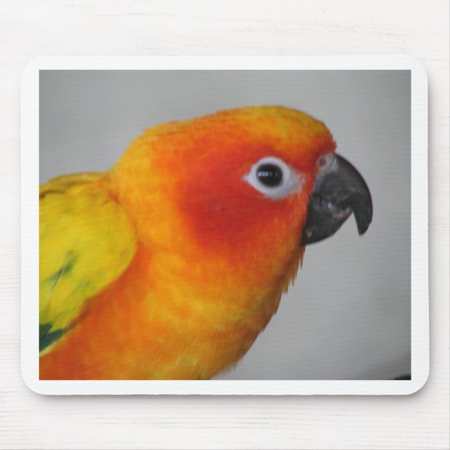 Sun Conure Mouse Mat (Front)