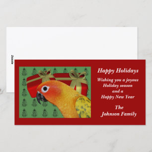 Sun Conure Parrot Animal Christmas Holiday Card