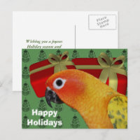 Sun Conure Parrot Christmas Holiday Postcard
