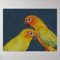 Sun Conure Parrot Pair Bird Art