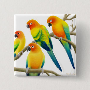 Sun Conure Parrots Pin