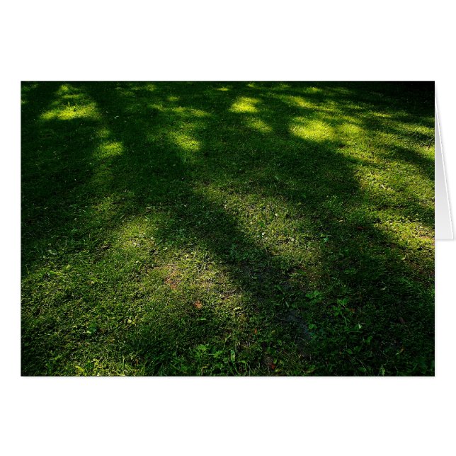 Sun Dappled Lawn (Front Horizontal)