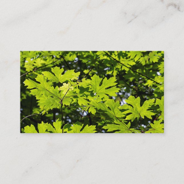 Sun-Dappled Leaves in the Forest Business Card (Front)