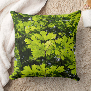 Sun-Dappled Leaves in the Forest Cushion