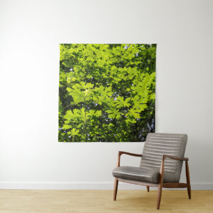 Sun-Dappled Leaves in the Forest Tapestry