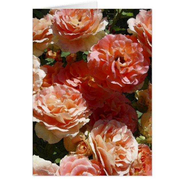 Sun dappled roses (Front)