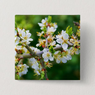 Sun-Dappled Spring Hawthorn 15 Cm Square Badge