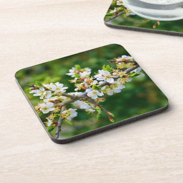 Sun-Dappled Spring Hawthorn Coaster (Left Side)