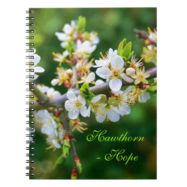 Sun-Dappled Spring Hawthorn Notebook (Front)