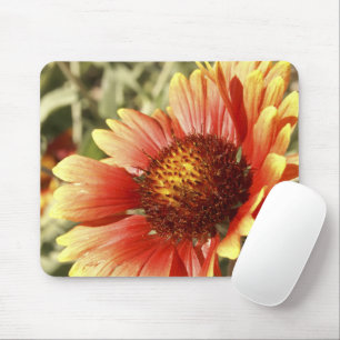 Sun Drenched Gaillardia Mouse Mat