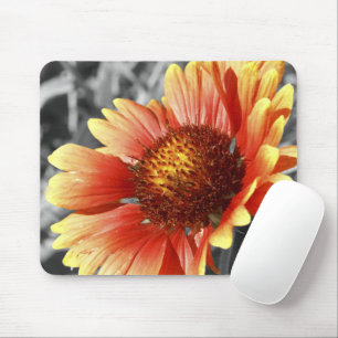 Sun Drenched Gaillardia Mouse Mat