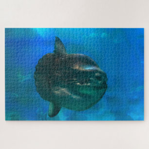 Sun Fish. Jigsaw Puzzle
