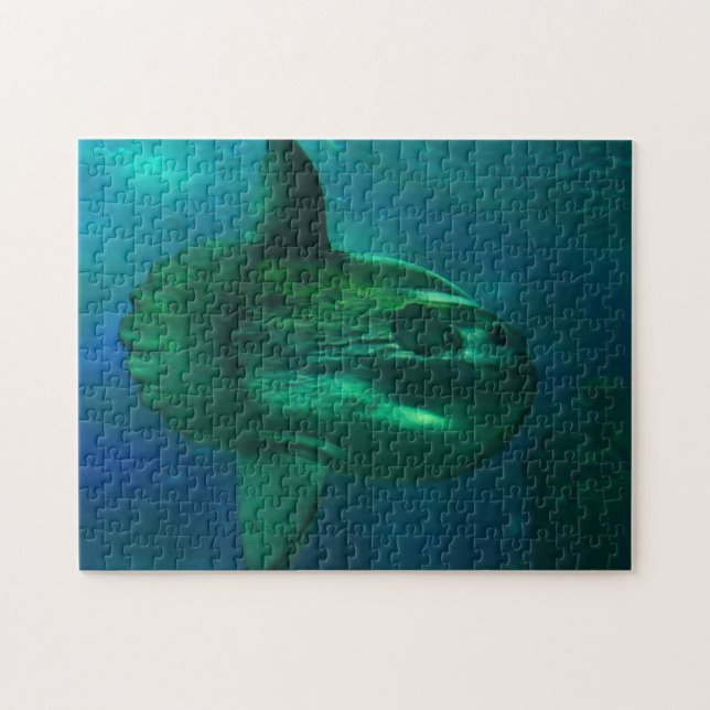Sun Fish. Jigsaw Puzzle (Horizontal)