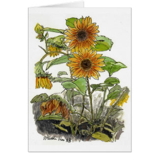 Sun flowers