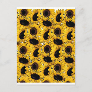 sun flowers petals swim dive marine nature yellow postcard
