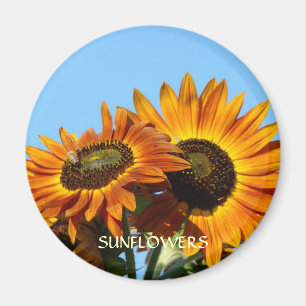 SUN FLOWERS SUNFLOWER MAGNET MAGNETS Gifts