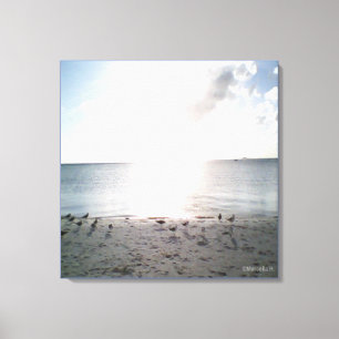 Sun Glory At The Beach Canvas Print