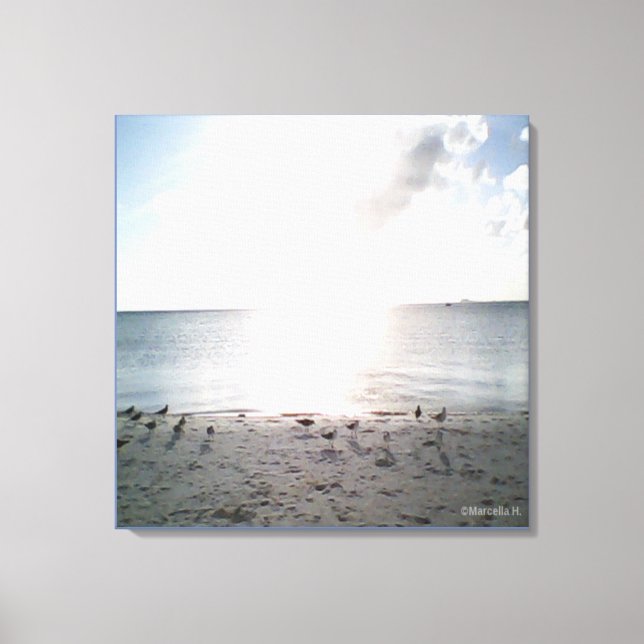 Sun Glory At The Beach Canvas Print (Front)