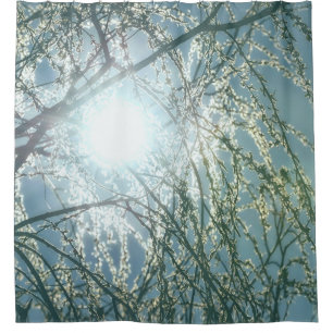 Sun Glow Through Willow Tree Branches Uplifting Shower Curtain
