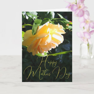 Sun Glow Yellow Rose Happy Mother's Day  Card