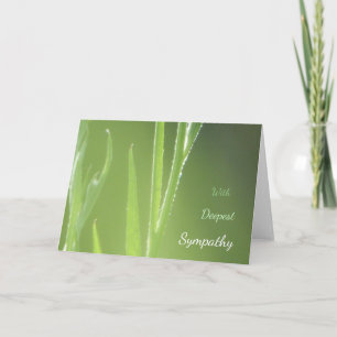 Sun Glowing Flower Stalks Sympathy Card
