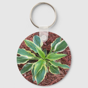 Sun Hosta Key Ring