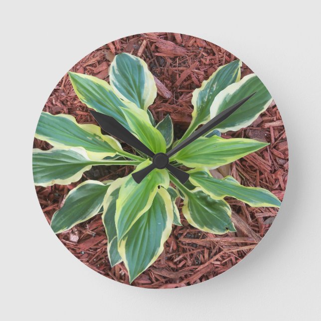 Sun Hosta Round Clock (Front)