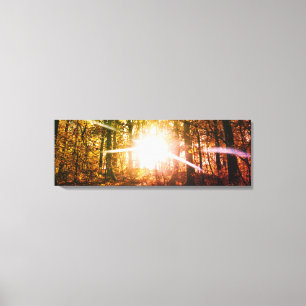 Sun in  the autumn forest canvas print