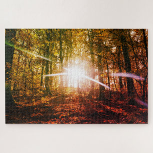 Sun in the autumn forest jigsaw puzzle