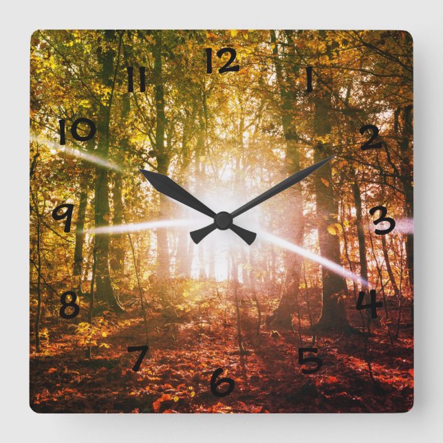 Sun in  the autumn forest square wall clock (Front)