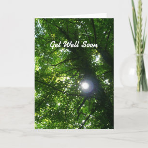 Sun in the Trees - Get Well Soon Card