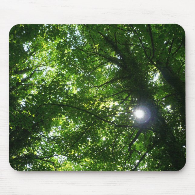 Sun in the Trees Mouse Mat (Front)
