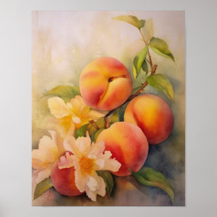 Sun-kissed Peaches Watercolor Poster