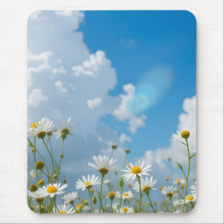 Sun-Kissed Petals Mouse Mat