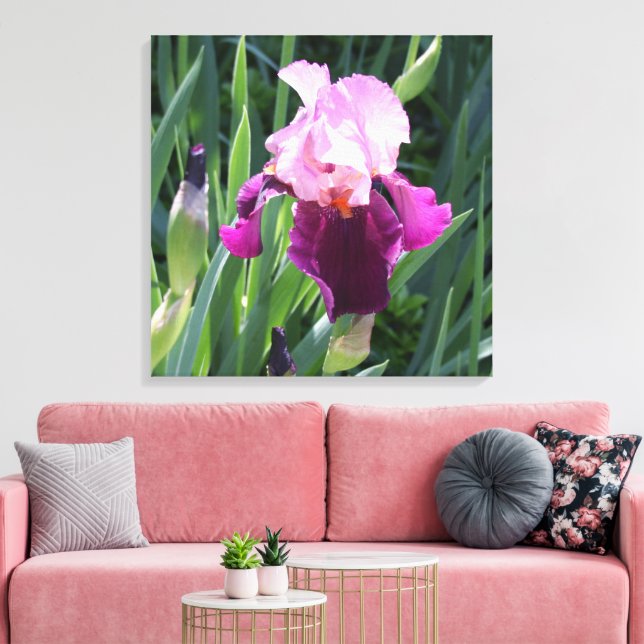 Sun-kissed Pink Iris Flower Canvas (Insitu(LivingRoom))