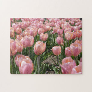 Sun-kissed Pink Tulips Jigsaw Puzzle