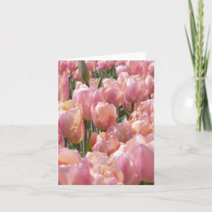 Sun-kissed Pink Tulips Note Card