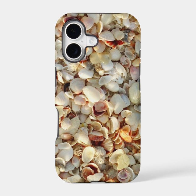 Sun Kissed Sea Shells (Back)