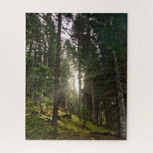 Sun light through the trees in a mountain forest jigsaw puzzle