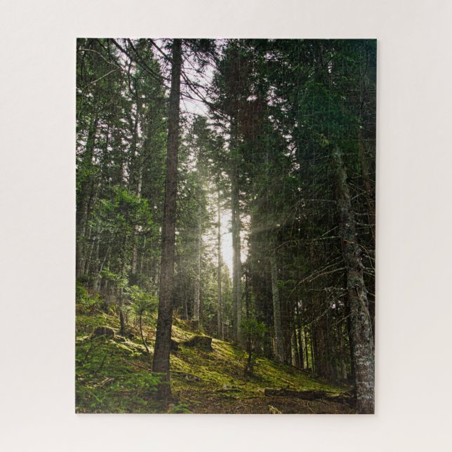Sun light through the trees in a mountain forest jigsaw puzzle (Vertical)