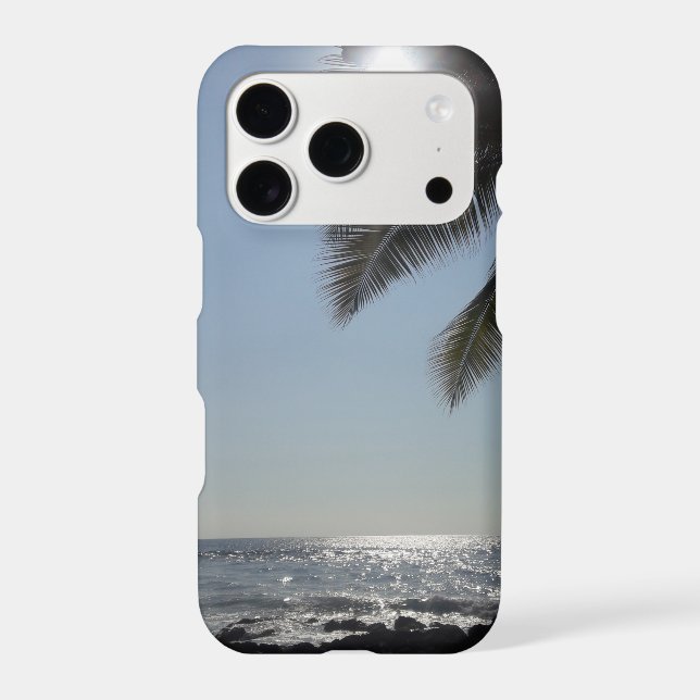 Sun lit Palm Tree Ocean   (Back)