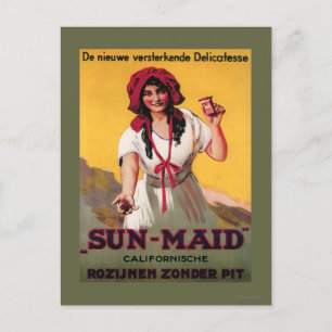 Sun-Maid California Raisin Poster Postcard