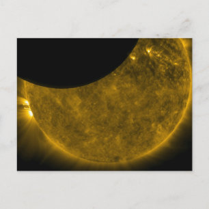 Sun & Moon Postcard