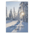 Sun on Winter Pine Trees Peace Christmas Card
