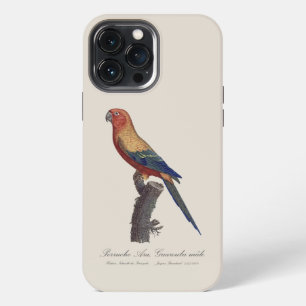 Sun Parakeet Male, Aratinga Solstitialis iPhone 13 Pro Max Case