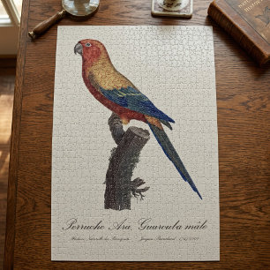 Sun Parakeet Male, Aratinga Solstitialis Jigsaw Puzzle