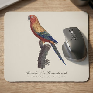 Sun Parakeet Male, Aratinga Solstitialis Mouse Mat
